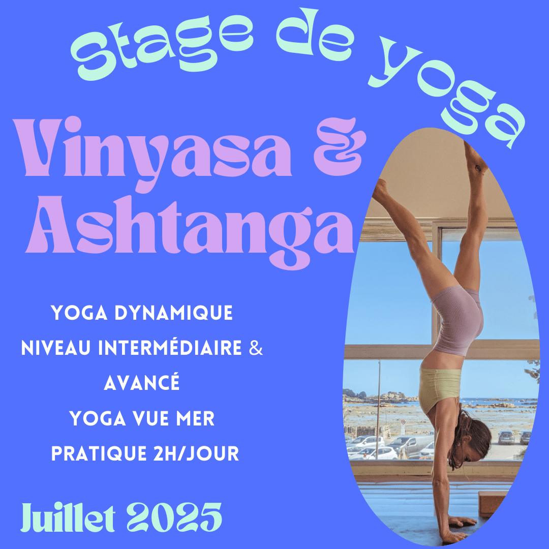 stage yoga, vinyasa et ashtanga