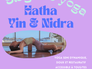 stage yoga, hatha yin & nidra